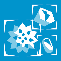 Particle Sense Particle Sense